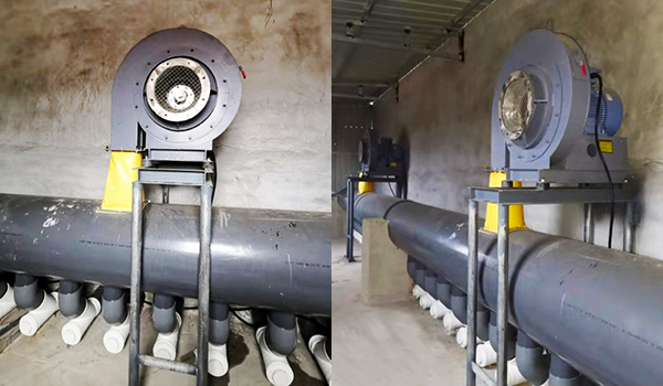 高壓離心風(fēng)機(jī)在哪買？-佰斯拓